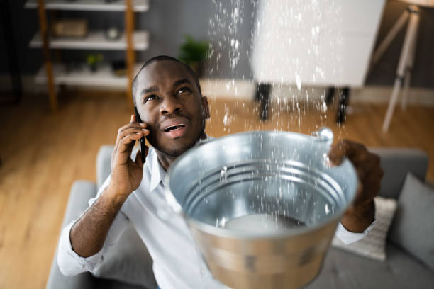 Best Flooded house restoration  in Sterling City, TX