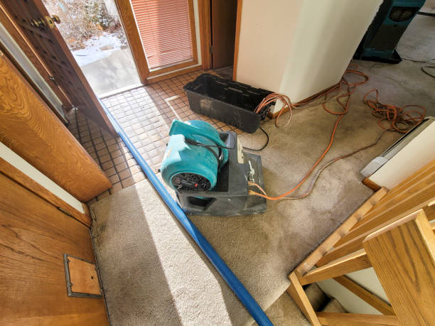 Best Water damage cleanup near me  in Sterling City, TX
