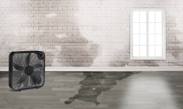 Best Commercial water damage restoration  in Sterling City, TX