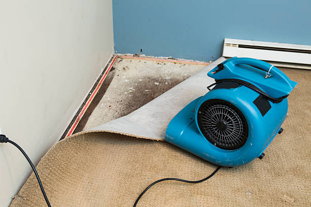 Best Carpet water damage restoration  in Sterling City, TX